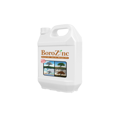 BORO-ZINC-2