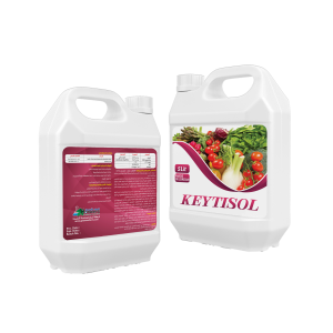 KEYTISOL